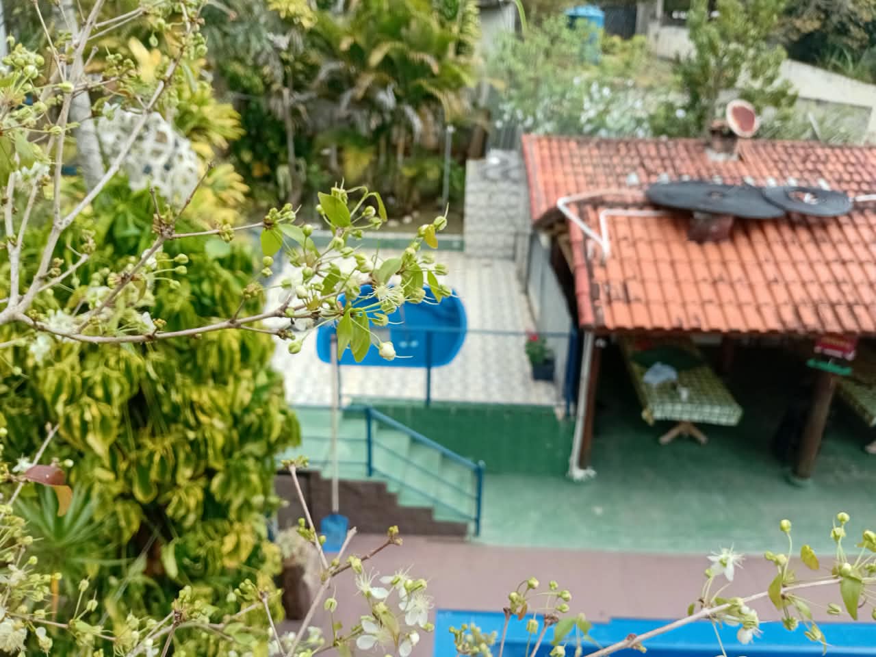 Vista da área de lazer com piscina azul, chalé de telhado colonial e jardim arborizado da chácara